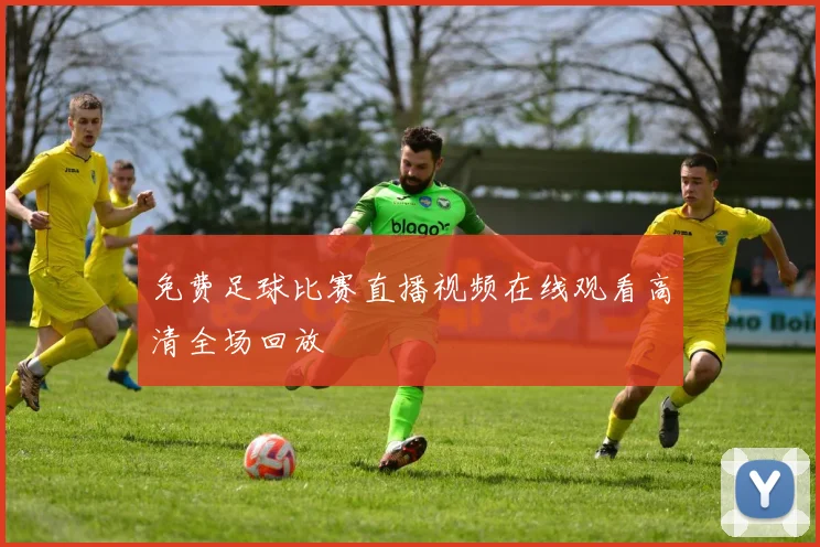免费足球比赛直播视频在线观看高清全场回放